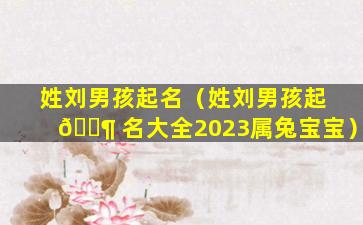 姓刘男孩起名（姓刘男孩起 🐶 名大全2023属兔宝宝）